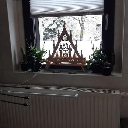 Bockau Ferienwohnung Am Querweg מראה חיצוני תמונה